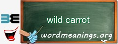 WordMeaning blackboard for wild carrot